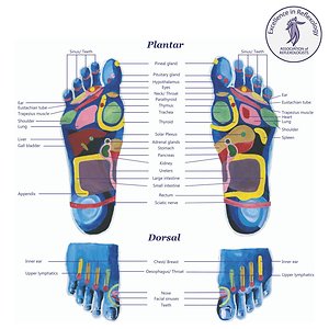 What is Reflexology